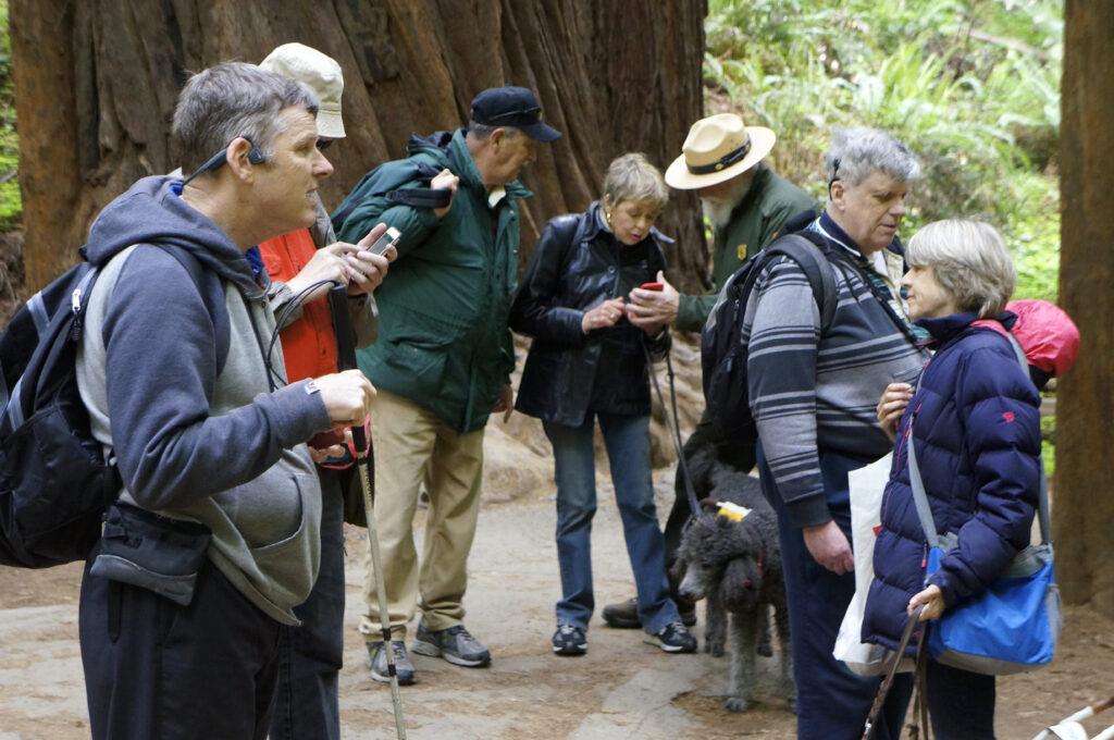 Testing Audio Description at Muir Woods National Monument, California.